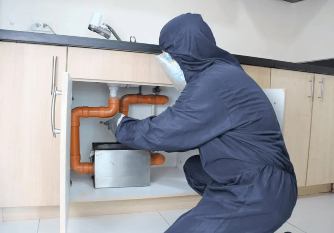 Grease & Organic Waste Buildup